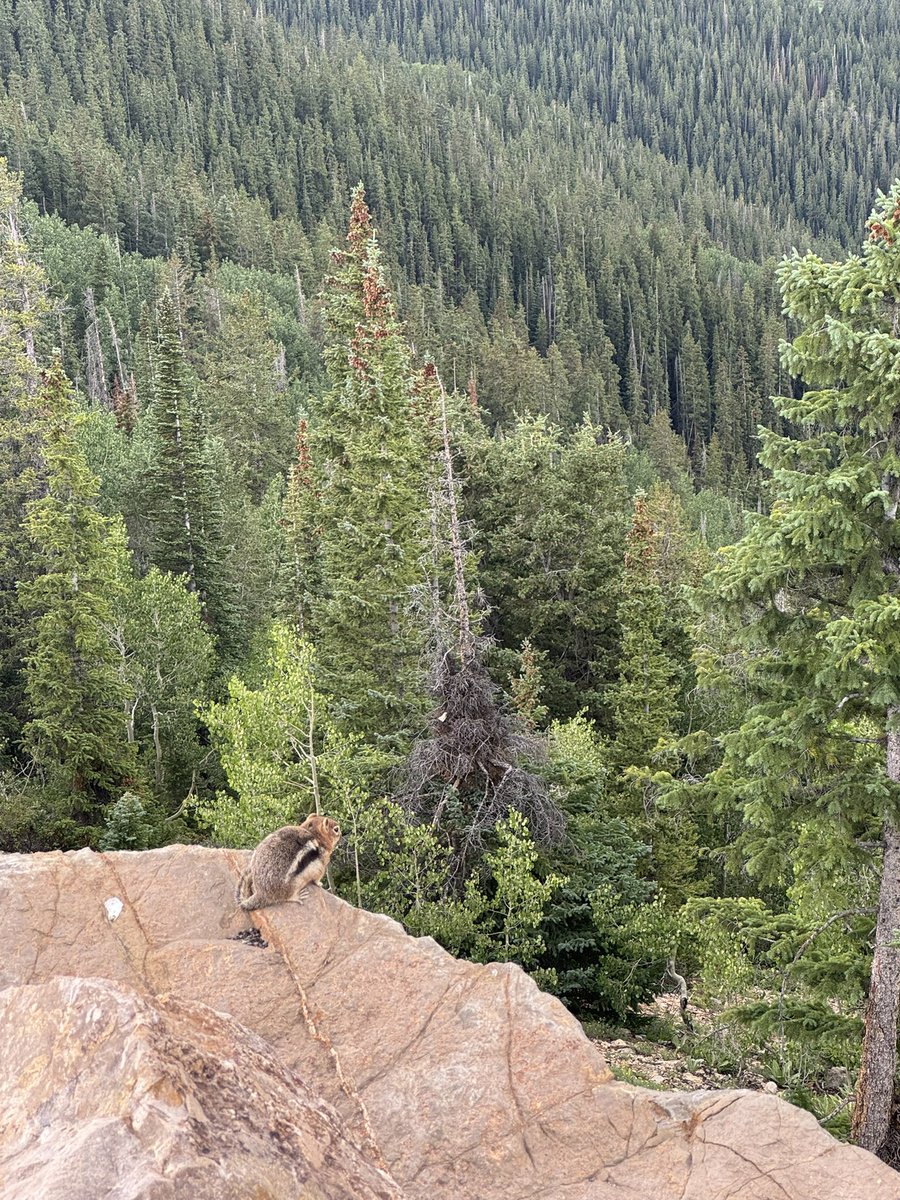 We took a little break from the <a href="/movedisorder/">MDS</a> Aspen Course to explore around. The nature in this place is incredible! 🌲