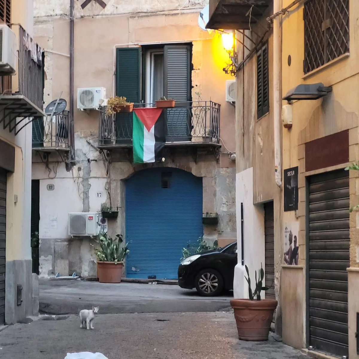 🇮🇹Palermo, Italy 

#FreePalestine🇵🇸