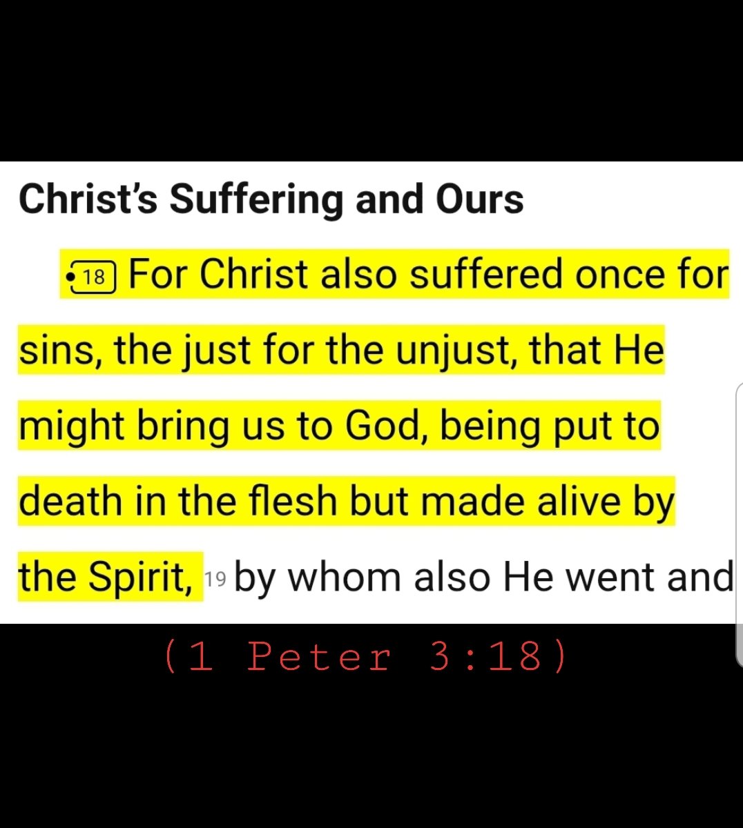TheScotchBadgr's tweet photo. 🙏 I am so grateful! 

#HolyBible https://t.co/cPBJDESbED