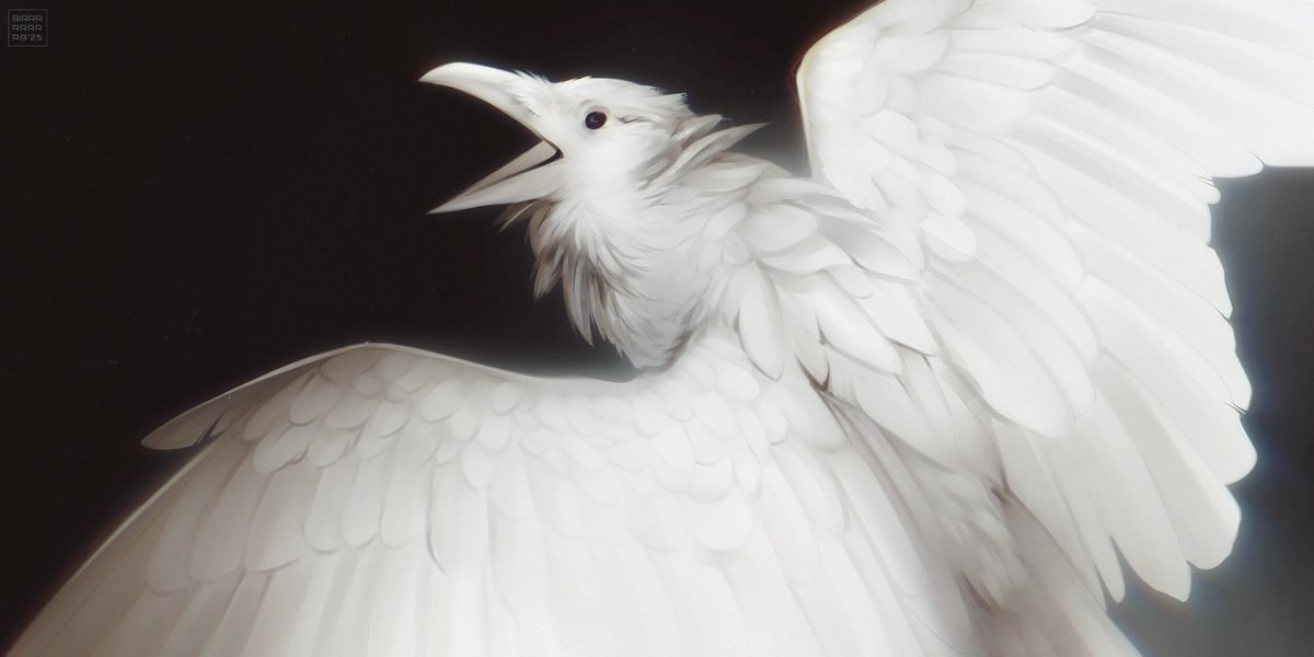 #ravenart #digitalart #birdart #artfight2025