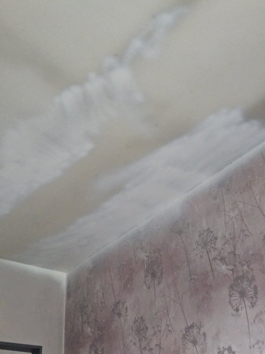 lisamp1986's tweet photo. @YourGuinness call this a good job on my bedroom ceiling, ruined my wallpaper and only attempted 1 corner when the whole ceiling needs doing, and the workman left so much dust and dirt behind https://t.co/VJGaIpDXLX