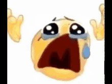 YurLunacy's tweet image. NOOOOOOOOOOOOOOO NOT MY 🐐