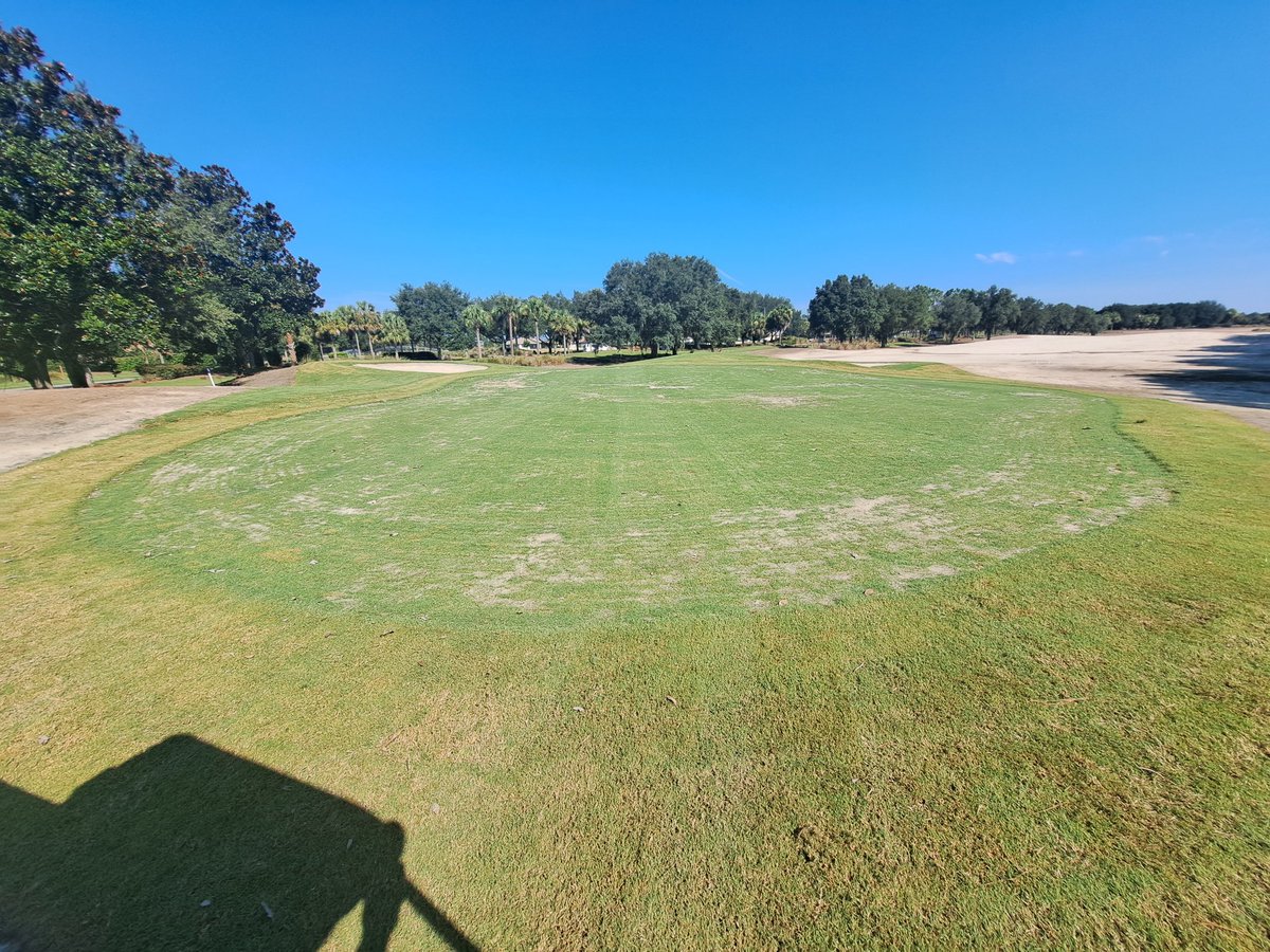 Almost a golf course again.