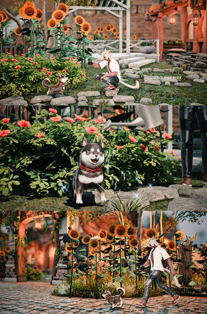 🌻🐶🌺
＃FF14 #オスッテ