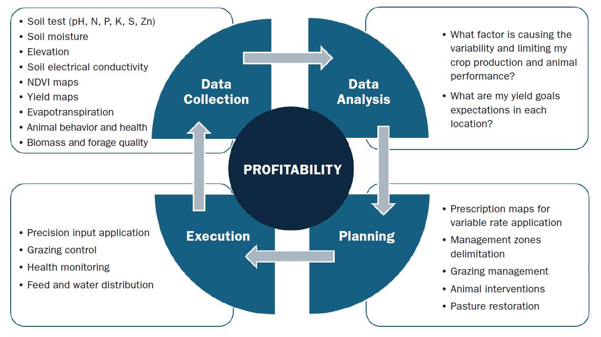 MSU_Extension's tweet image. Our new precision agriculture MontGuide provides an overview, practical steps for implementation, and insights tailored to Montana&apos;s agricultural community. montana.edu/extension/mont…