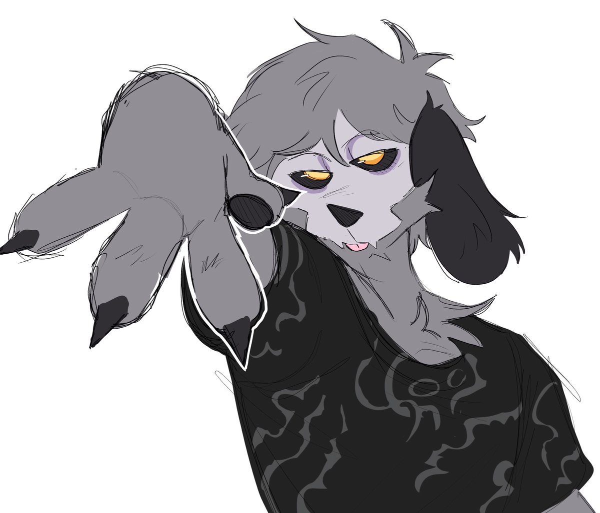 This dog MIGHT be swag…