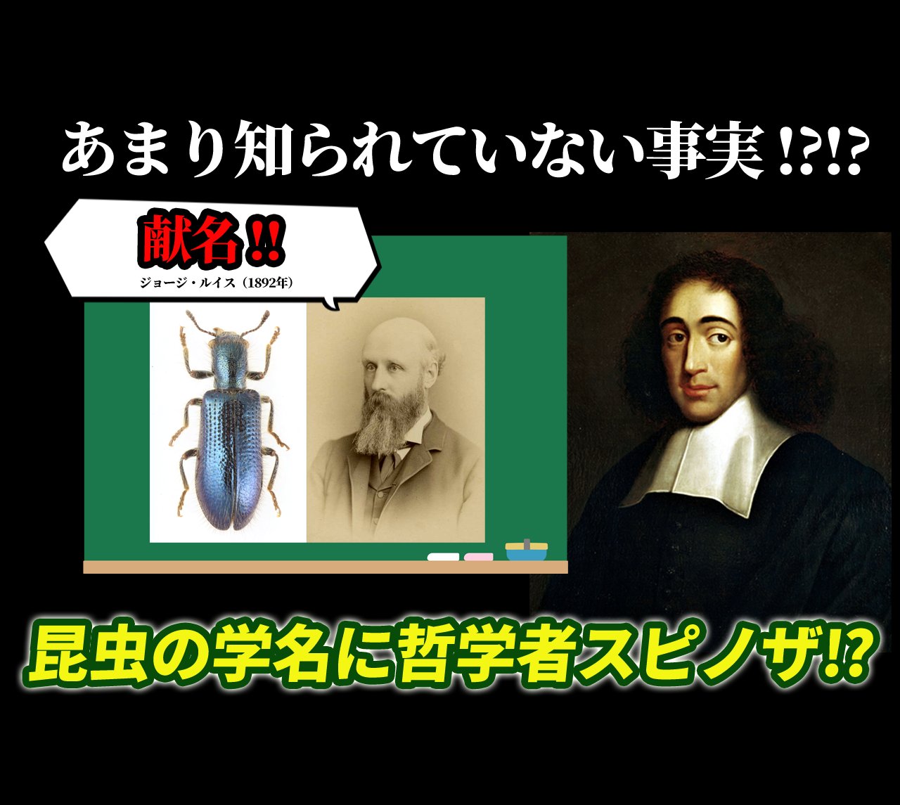 hnzsuaページ HiMu on X: 