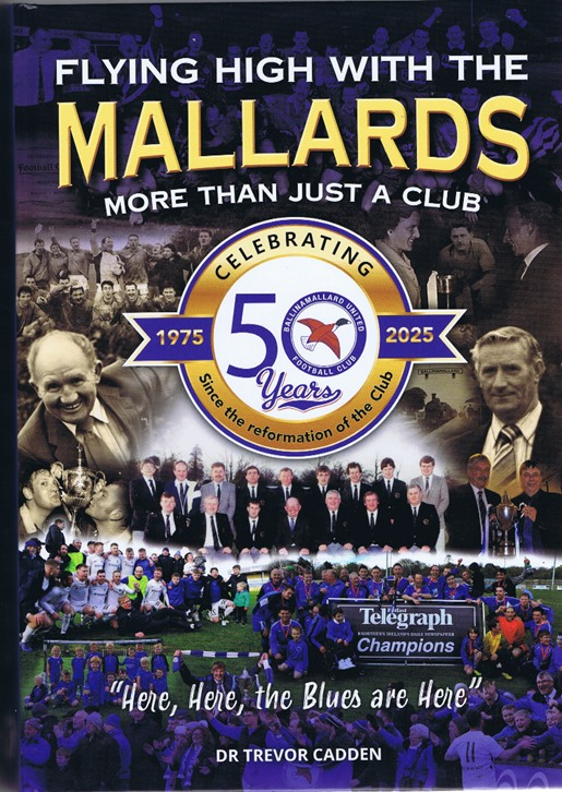 Ballinamallard United FC (@ballinamallard) on Twitter photo 
