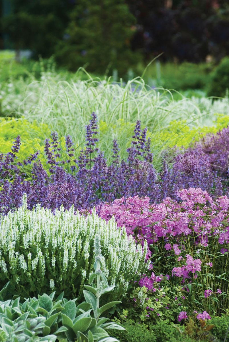 Learn how to create a stunning garden that’s easy on water with our Healthy Landscapes program!🌿 Our Advisors will help you find ways to reduce the demands of your landscape, without sacrificing beauty. 

Learn more and book your FREE visit today: ow.ly/mFJX50WwTPc