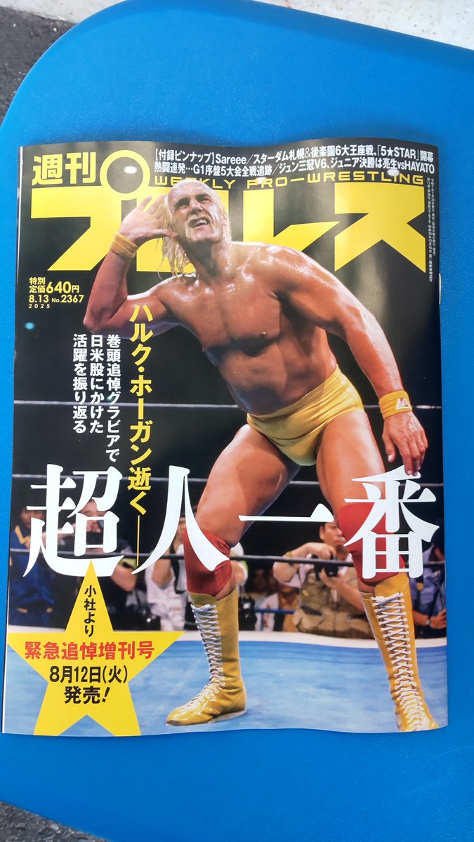 プロレス ハルク・ホーガン ポスター 週刊プロレス #ハルク・ホーガン