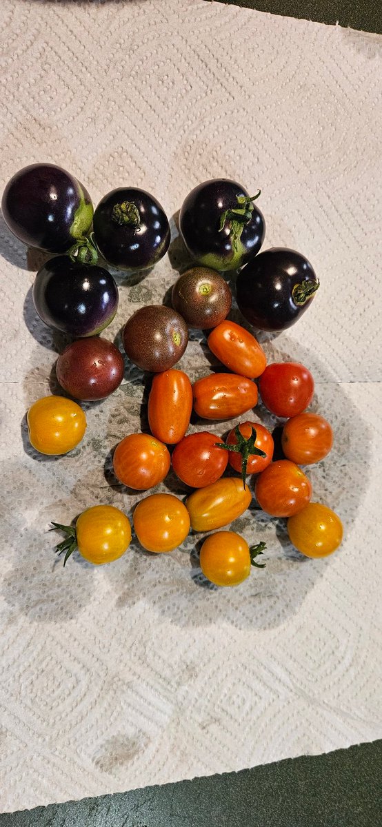 Just a little sample of things to come!! #SouthBuffalofarmer