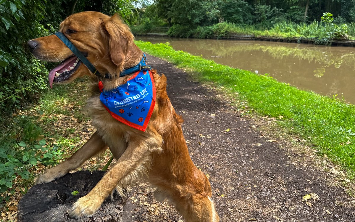 Finlay - Red Moonshine (@finredmoonshine) on Twitter photo Finlay's managed to reach 350,000 steps on his #1mstepschallenge for <a href="/DiabetesUK/">Diabetes UK</a> with <a href="/stevebates/">Steve Bates</a>, thats only 650,000 to go!
Dont forget to donate at moonshine.me/1msteps
#BoatsThatTweet #KeepCanalsAlive #LifesBetterByWater #FundBritainsWaterways #DiabetesUK #1mSteps Finlay's managed to reach 350,000 steps on his #1mstepschallenge for <a href="/DiabetesUK/">Diabetes UK</a> with <a href="/stevebates/">Steve Bates</a>, thats only 650,000 to go!
Dont forget to donate at moonshine.me/1msteps
#BoatsThatTweet #KeepCanalsAlive #LifesBetterByWater #FundBritainsWaterways #DiabetesUK #1mSteps