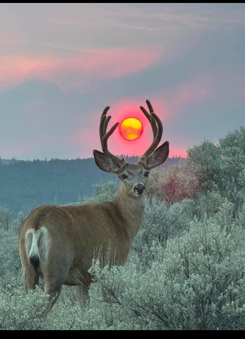 Na alaka ya ben çektim çok güzel değil mi 🫠🔆