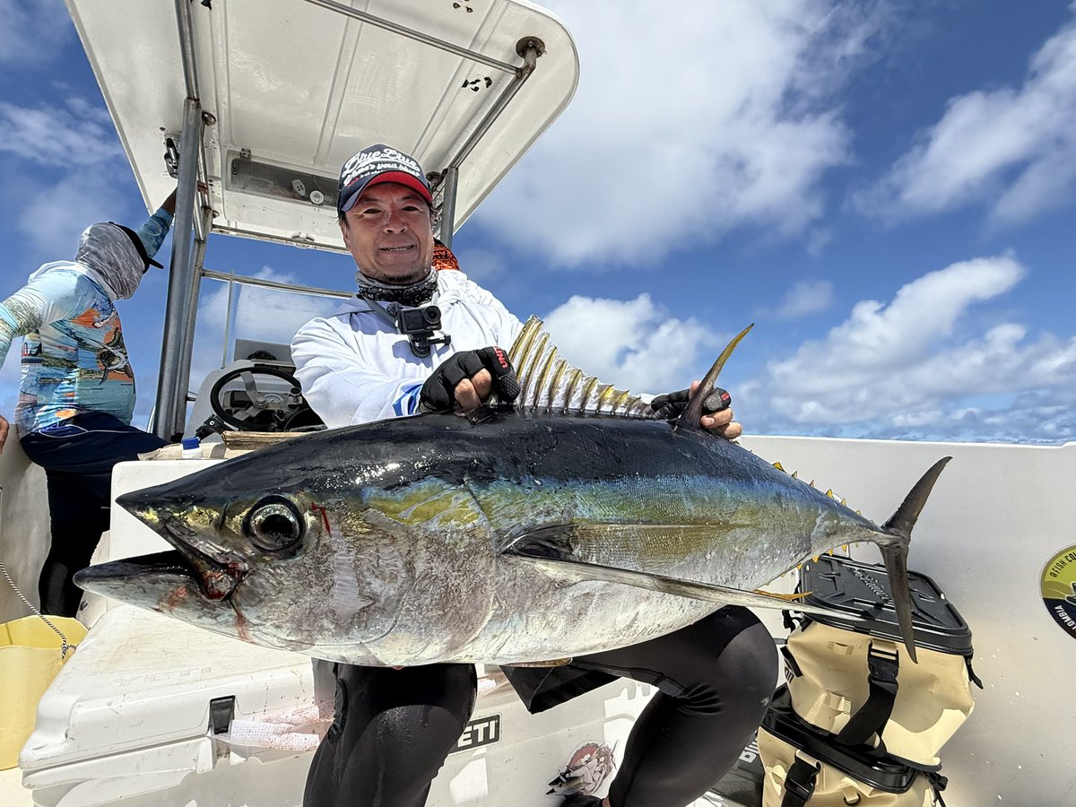 KUDA TROPICAL FISH - S.R.L