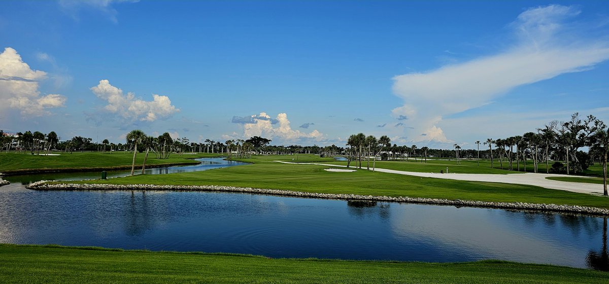 john reilly tweet media