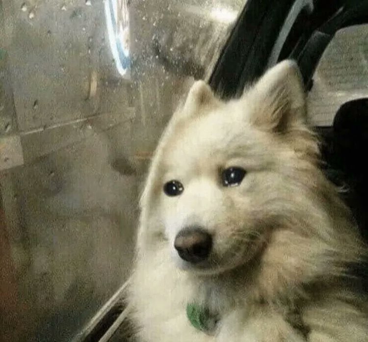 me quedan 20 lucas y cobro como el 6 de agosto