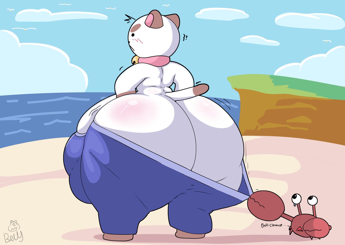 A good day at the beach