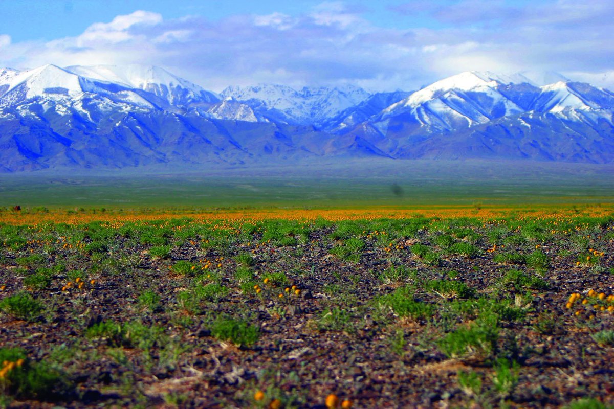Өглөөний мэнд. 
Хар азаргын нурууны бэлд нь ногоо ургаад л орой хэсэгт нь цас ороод л. Бас л өндөр хайрхан шүү. 👍👌👏