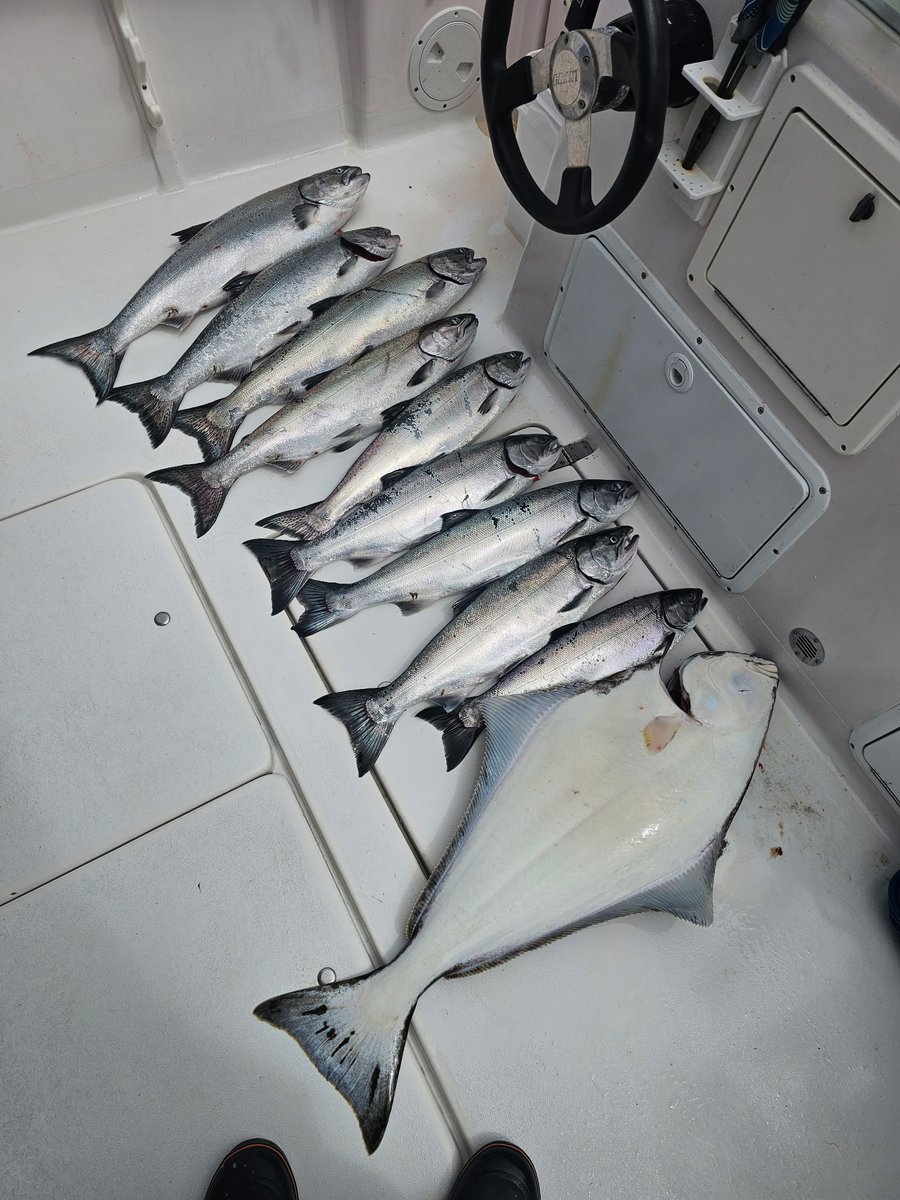 hpcharters's tweet photo. We have a few primetime spots available this month and even some this week. We can Hook You Up!
Toll Free 1 844 468 3174
#explorebc #fishingcharters #bcfishing #gofishbc #fishingucluelet @TourismUcluelet  #barkleysound @Fishingwithrod  #halibutcharter #uclueletcharter https://t.co/SpHQSXE96S