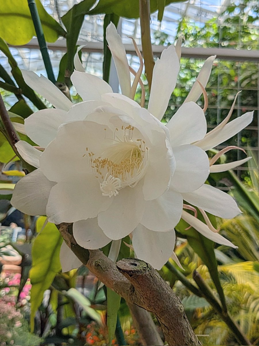 素敵です✨