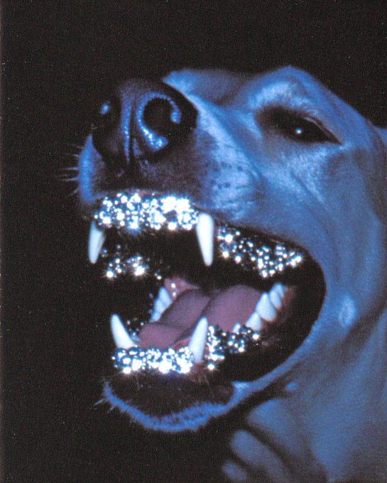 𝖆𝖗𝖙𝖟~𝖓𝖔𝖜 (@artznow_) on Twitter photo 