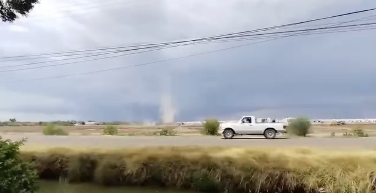 Nos reportan un posible 🌪️ #tornado no-supercelda al sur de los Mochis, #Sinaloa, la tarde de hoy martes 29 de julio. 

📸 Vía: Espacio Sinaloa.