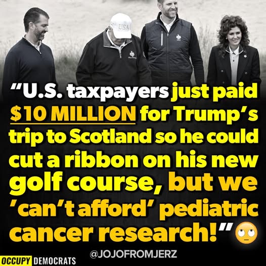 Poppy 💫🇦🇺☮🍅🥒🥕🥭🍊🍋 (@trevor_allan_1) on Twitter photo 