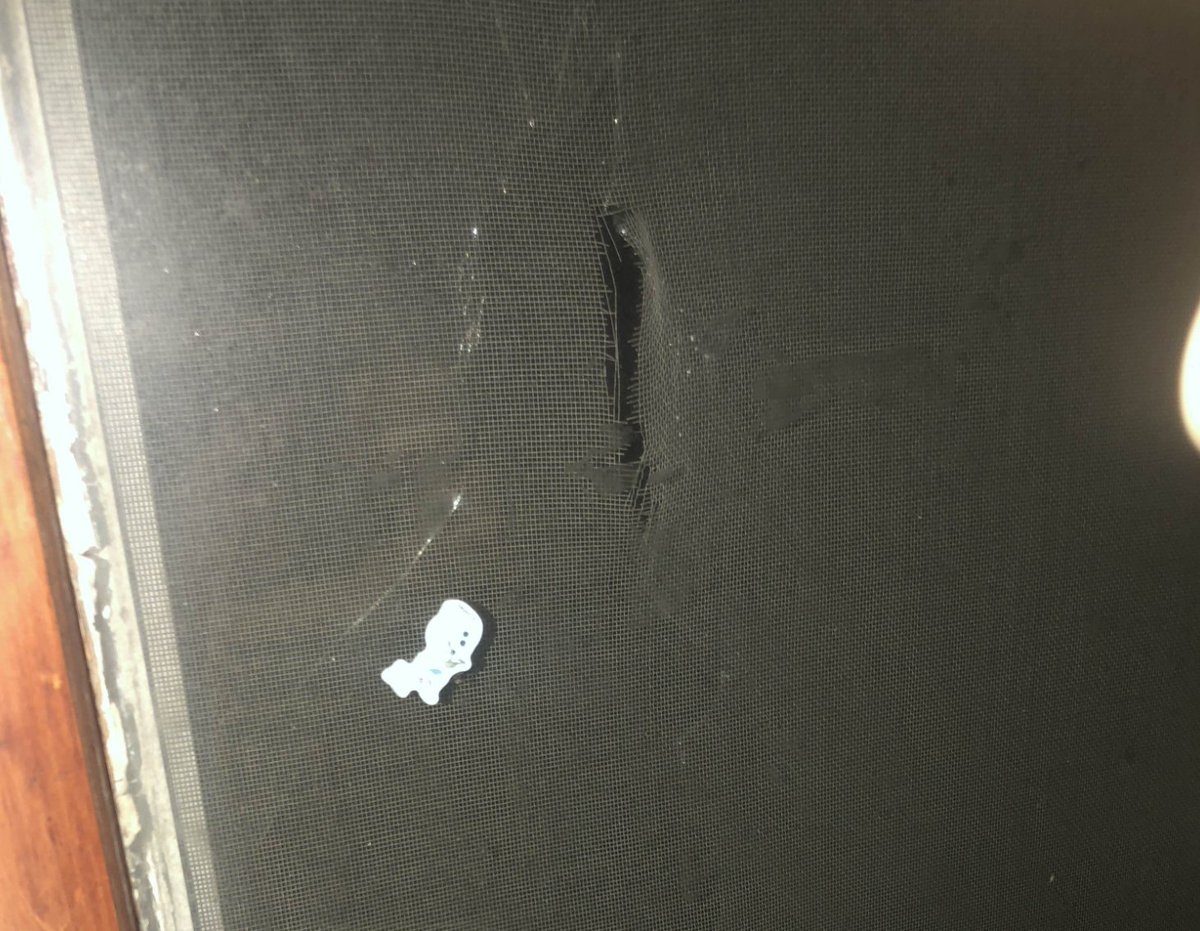 Someone tried breaking into my house. I checked my cameras &amp; saw a bunch of kids wearing masks/hoodies running around. My camera was too far to show the window side so I guess I need to buy 2 more cameras on top of my 3. I have to replace my window too... I wanna move so bad.