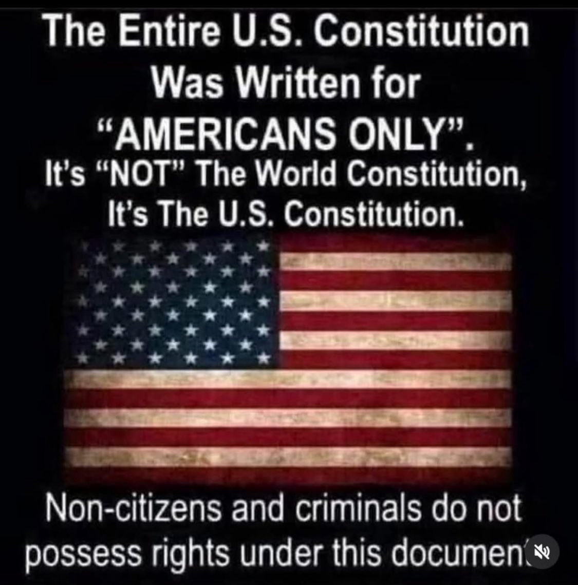 Americans, not illegals