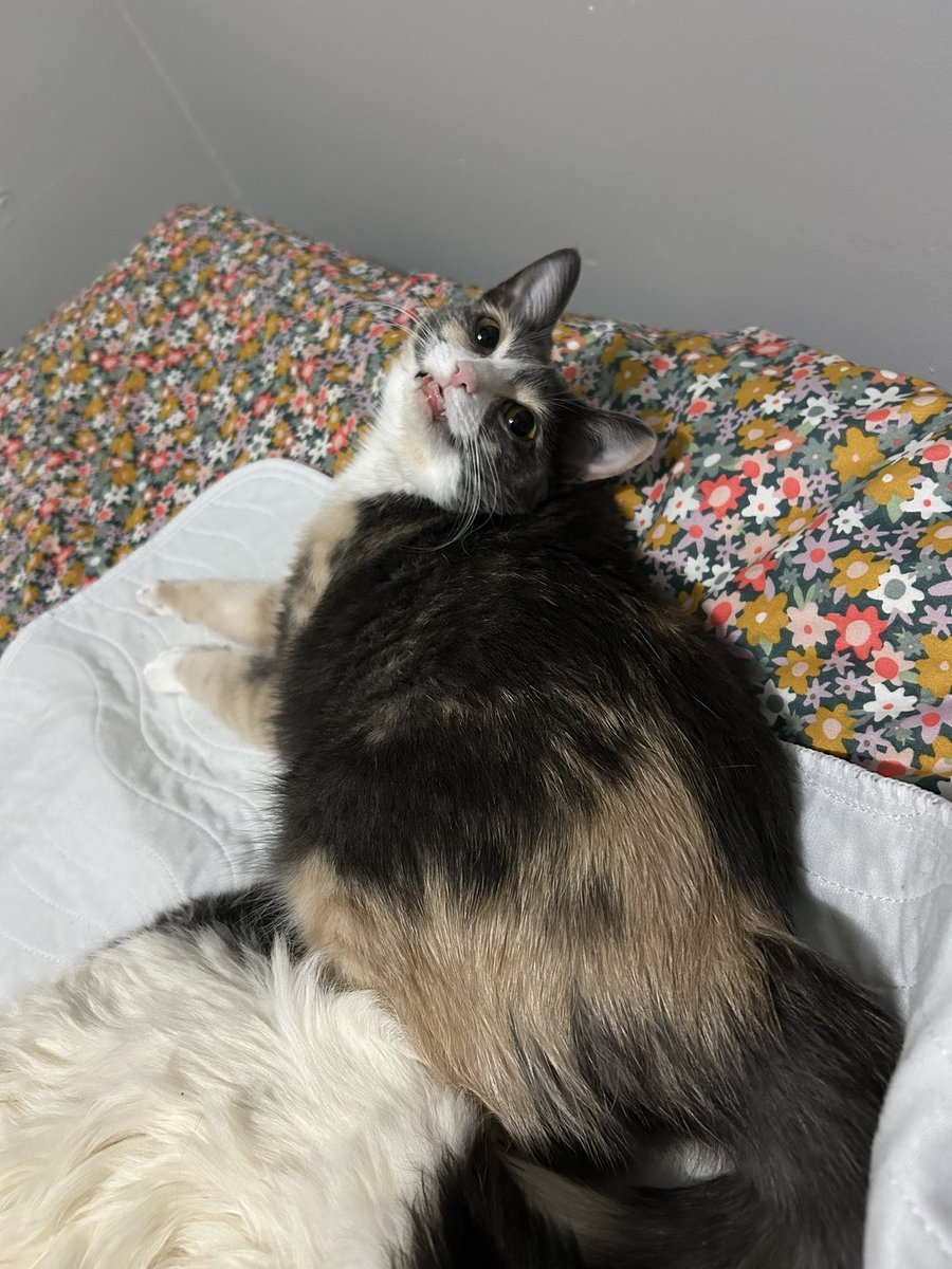 I said “I love you, monkey” and she turned around like this and I almost burst into tears