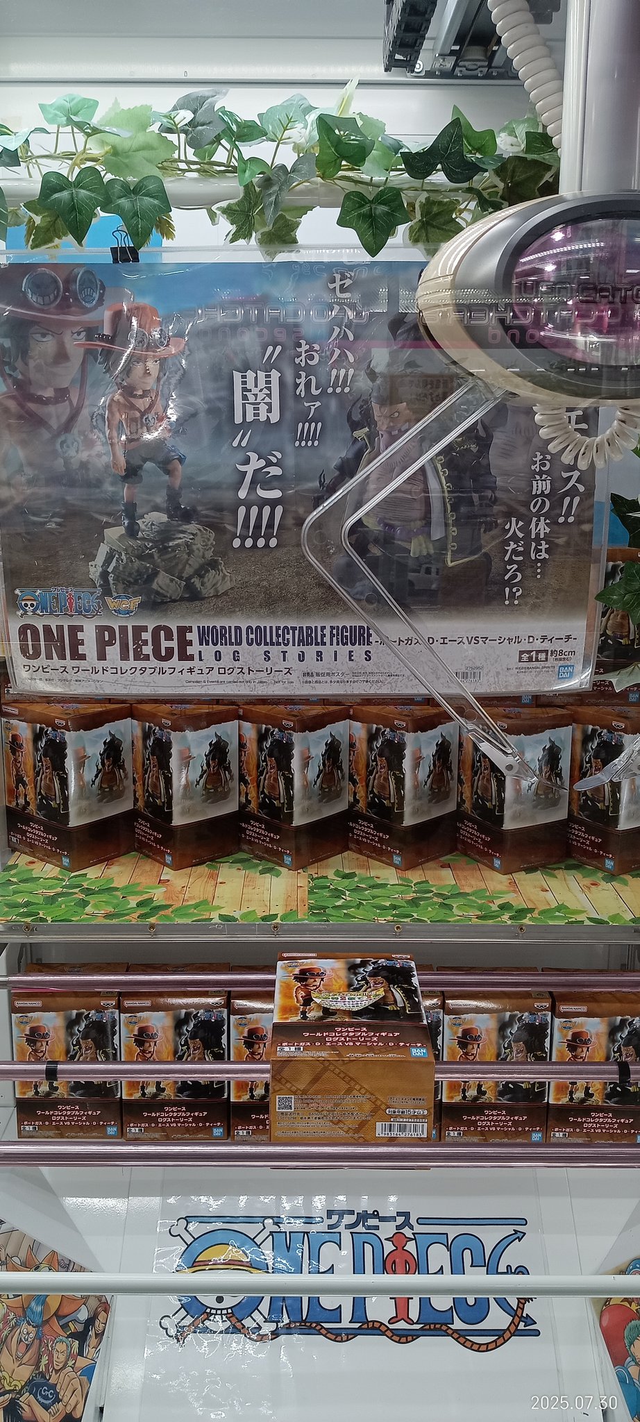 ワンピース　ワールドコレクタブル　その他　頂上決戦　ディスプレイ あそびば小川店 on X: 