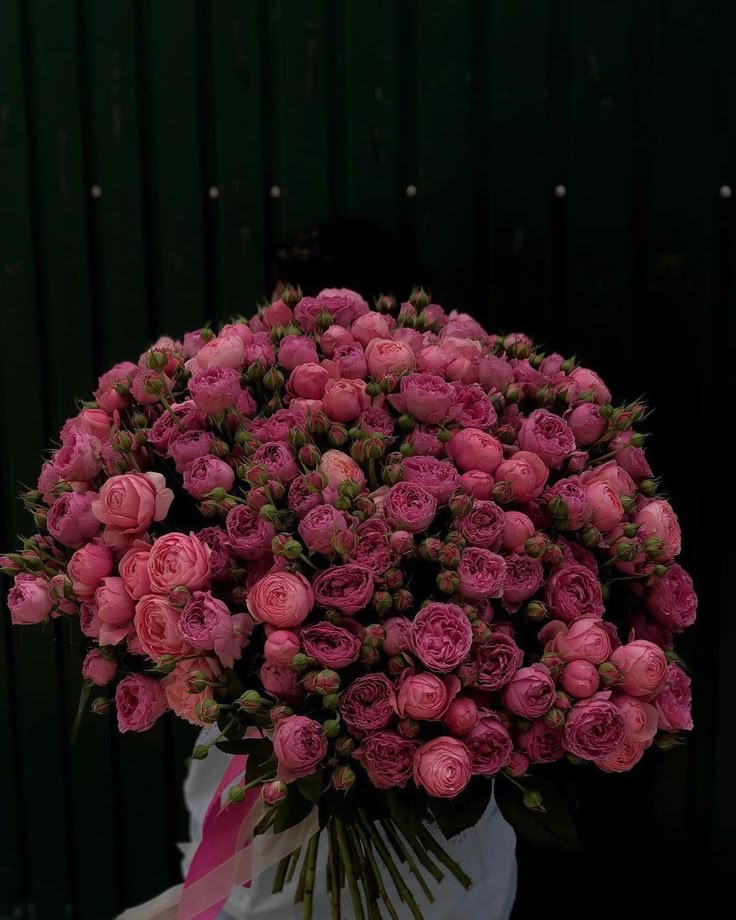Flowers (@flowers489) on Twitter photo 