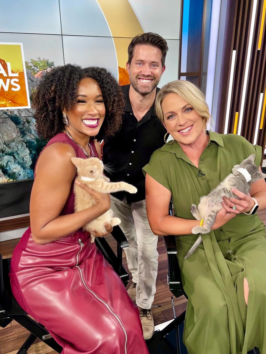 Sheba Turk (@shebaturk) on Twitter photo CatCon is coming to Pasadena this weekend!
<a href="/nathanthecatlad/">Nathan Kehn</a> joined us on <a href="/kcalnews/">KCAL News</a> with some adorable kittens that will be up for adoption at the event
<a href="/jamieyuccas/">Jamie Yuccas</a>
youtu.be/8Fp4yXvaCOc?si… CatCon is coming to Pasadena this weekend!
<a href="/nathanthecatlad/">Nathan Kehn</a> joined us on <a href="/kcalnews/">KCAL News</a> with some adorable kittens that will be up for adoption at the event
<a href="/jamieyuccas/">Jamie Yuccas</a>
youtu.be/8Fp4yXvaCOc?si…