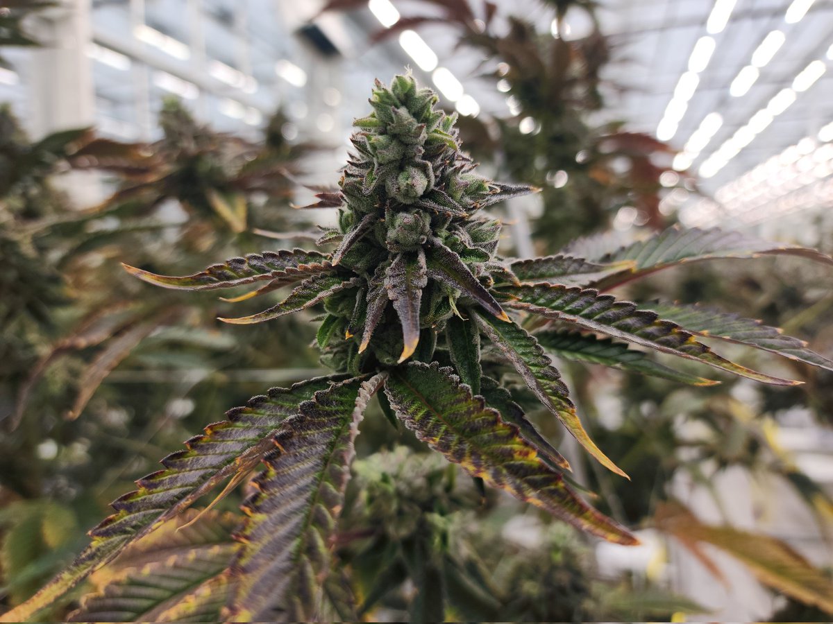 RetTheEditor's tweet image. My job takes me to some dank places 🤪