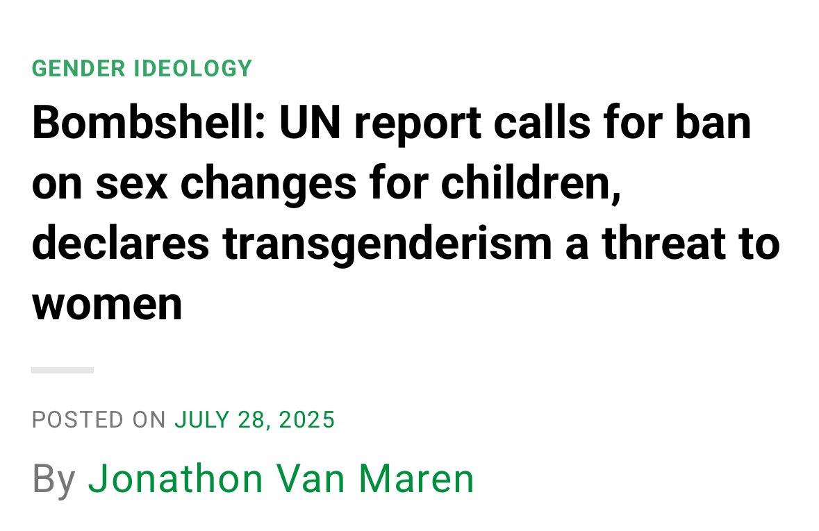 “Recently, there has been a concerted international push to delink the definition of men and women from their biological sex and erase the legal category of “women.” Such efforts have undermined the practical achievement of equality between men and women. Women are therefore
