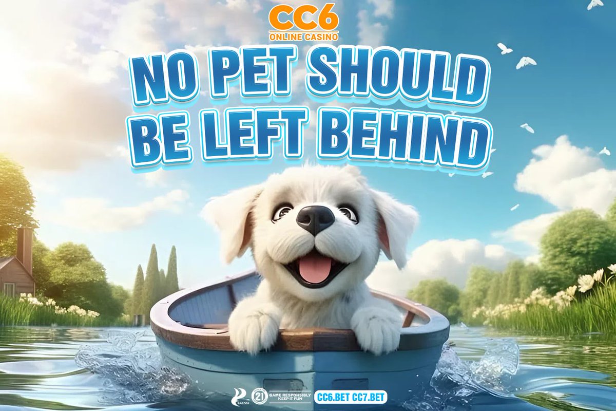 cc6Vip's tweet photo. 🐾At CC6, we believe that every life matters — even our furry friends! 🐶 https://t.co/PdVMTgIAtf