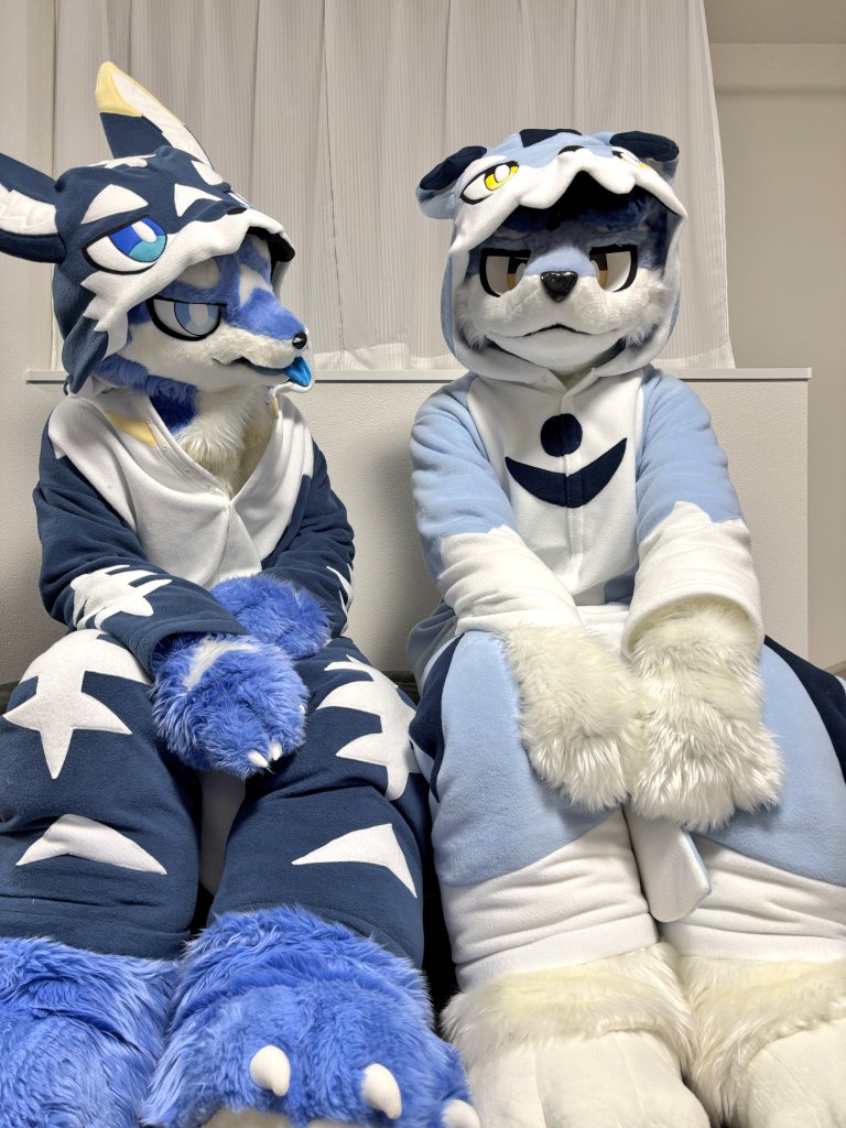 そらねこ* tweet media