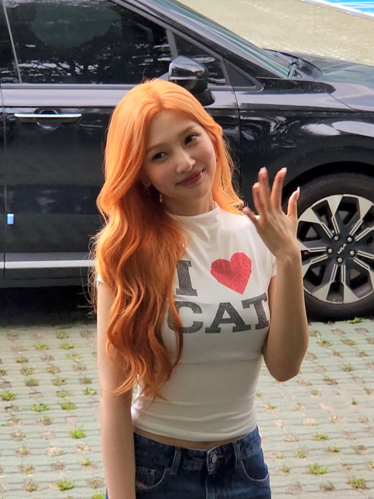 250730 동물농장 출근 #조이

치즈냥 실존 😻