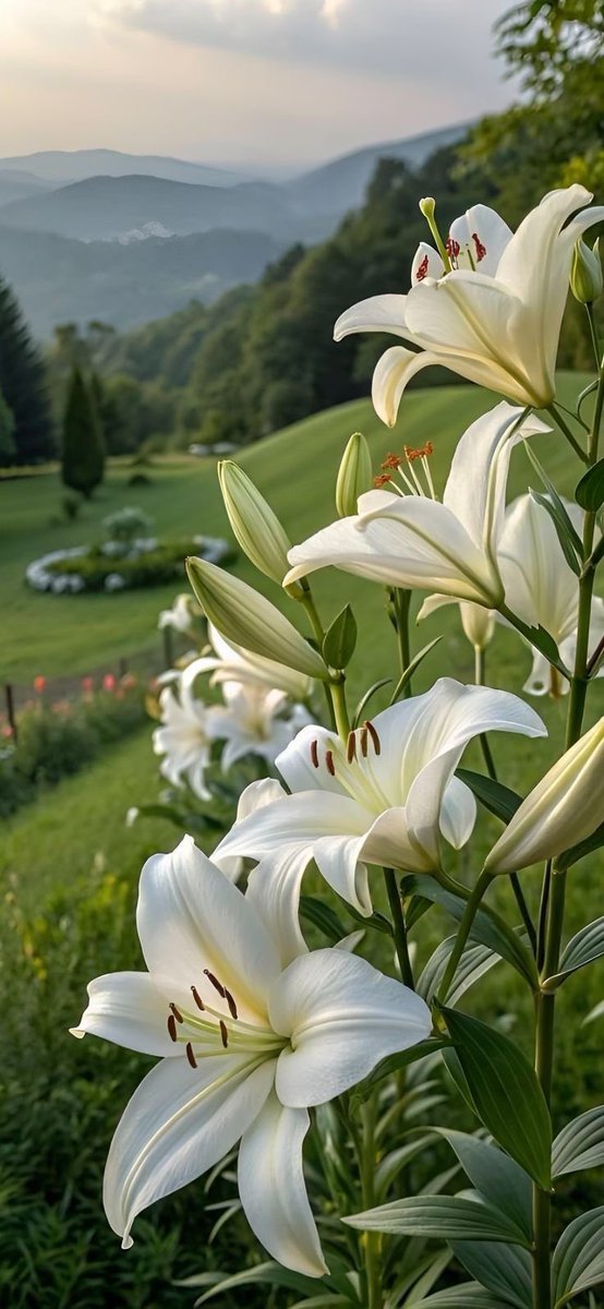Good Morning Everyone