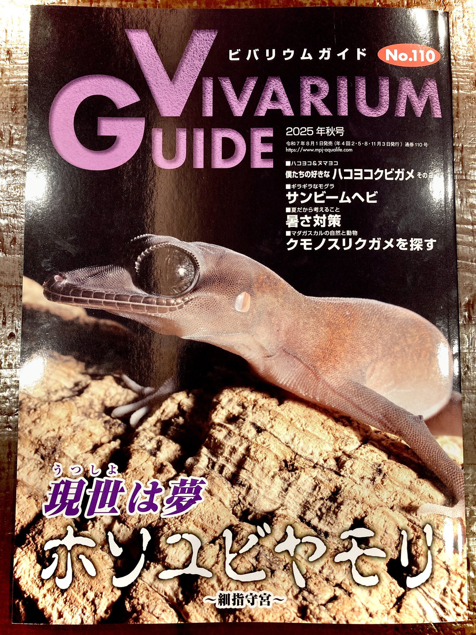 ハープタイル レプリカシリーズ ガラパゴスウミイグワナ Herptile Lovers(ハープタイルラバーズ) (@herptilelovers) / X
