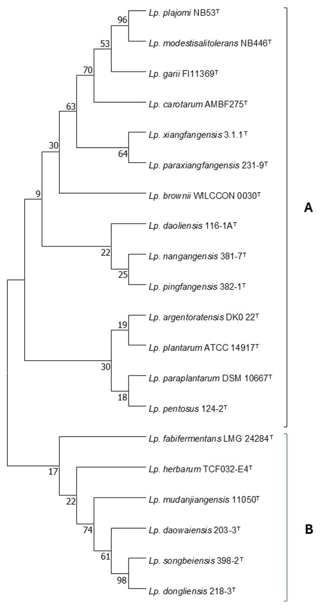 📢 Published Paper in "Applied Biosciences" 

🔗 mdpi.com/2813-0464/4/1/7

📚 Lactiplantibacillus plantarum, the Integral Member of Vegetable Fermentations

👨‍🔬 Spiros Paramithiotis

#Lactiplantibacillu #bioactivecompounds #Fermentation