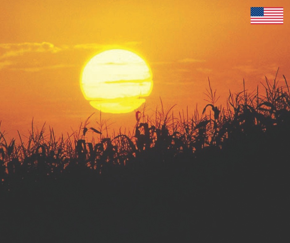 usembassydhaka's tweet image. Charge d’affaires Ambassador Tracey Jacobson welcomed the U.S. Grains Council (USGC) to Bangladesh to deliver an important message: U.S. corn is affordable, competitively priced, and of the highest quality. In 2025-2026, 𝟏𝟒𝟓 𝐦𝐢𝐥𝐥𝐢𝐨𝐧 𝐭𝐨𝐧𝐬 will be available for…