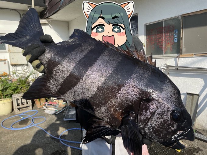 犬耳おばさんと結婚したらクソデカ石鯛食べられるのにワン………… 