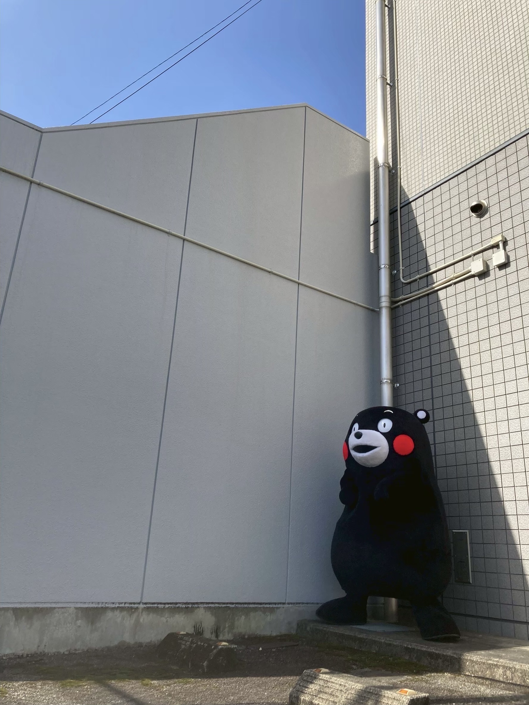 くまもん様的他の方はご遠慮下さい。 くまモン【公式