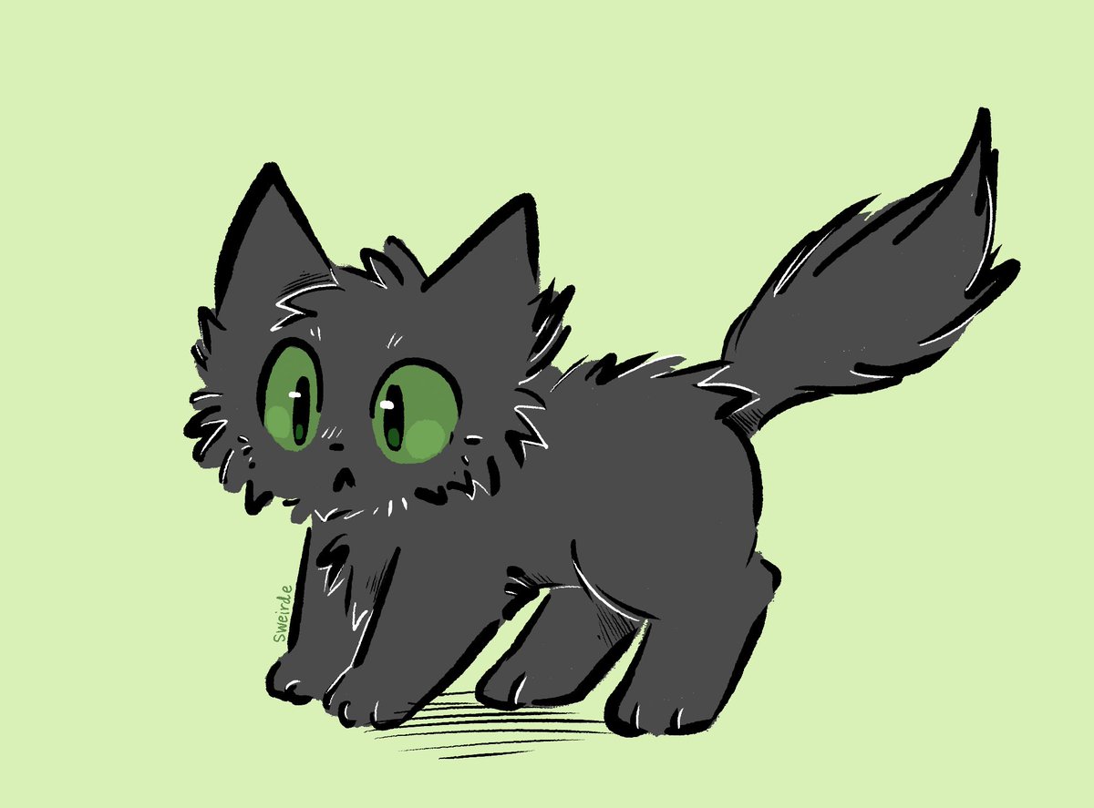 cat doodle