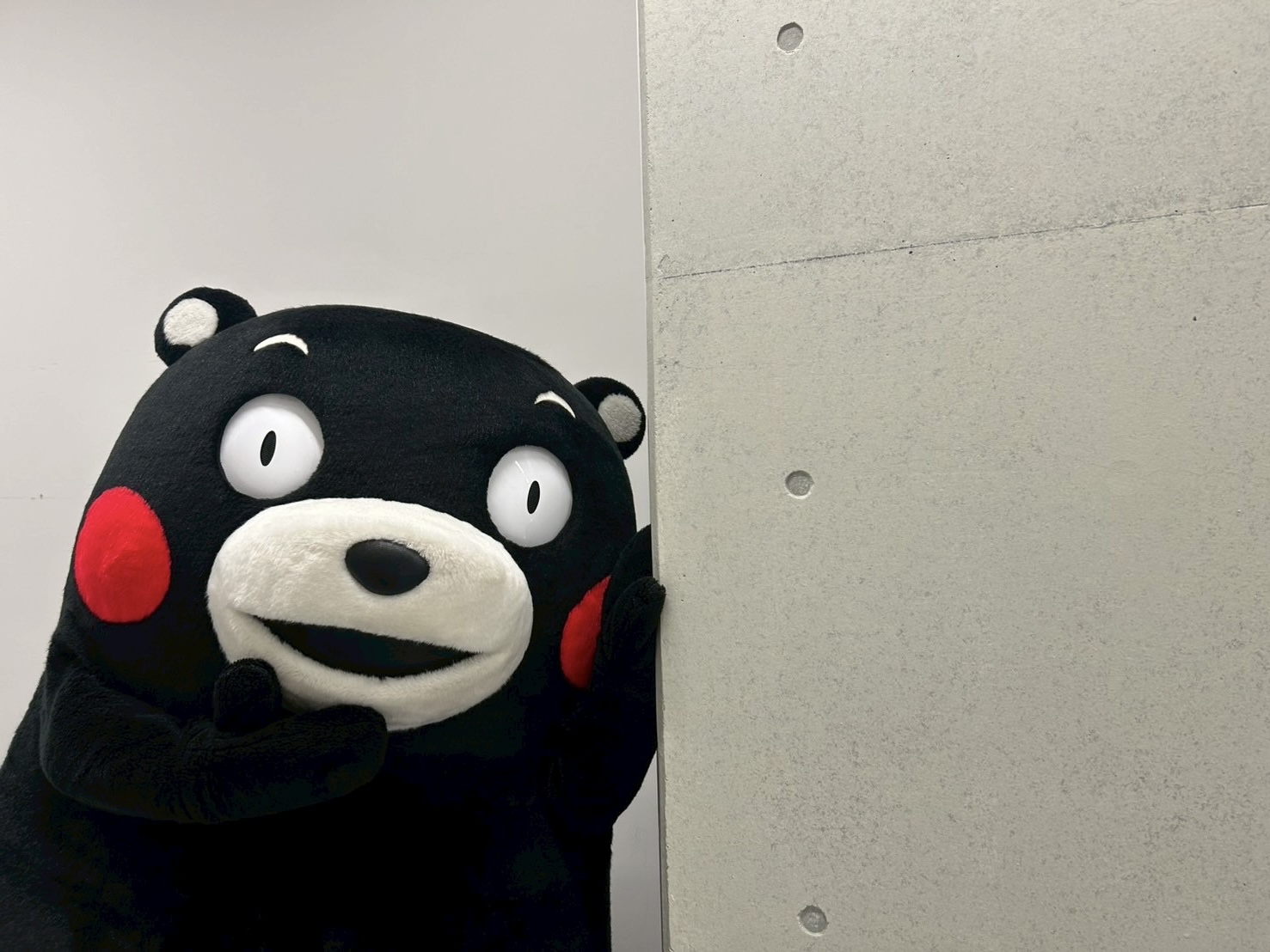 くまもん様的他の方はご遠慮下さい。 くまもん様的他の方はご遠慮下さい。 くまモン【公式