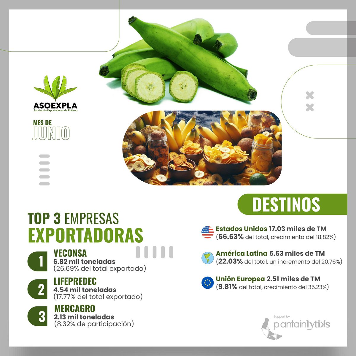 Reporte Junio 2025 – Plátano Procesado

 Exportaciones crecen +20.20%
 25.56 mil toneladas (+4.3k)

 Top destinos:
 EE.UU. (66.63%)
 LATAM (22.03%)
 UE (9.81%)

🏆 Exportadores: Veconsa, Lifepredec, Mercagro

 Verde | Maduro 
 Frito |  Congelado 

estadisticasOEP@asoexpla.org