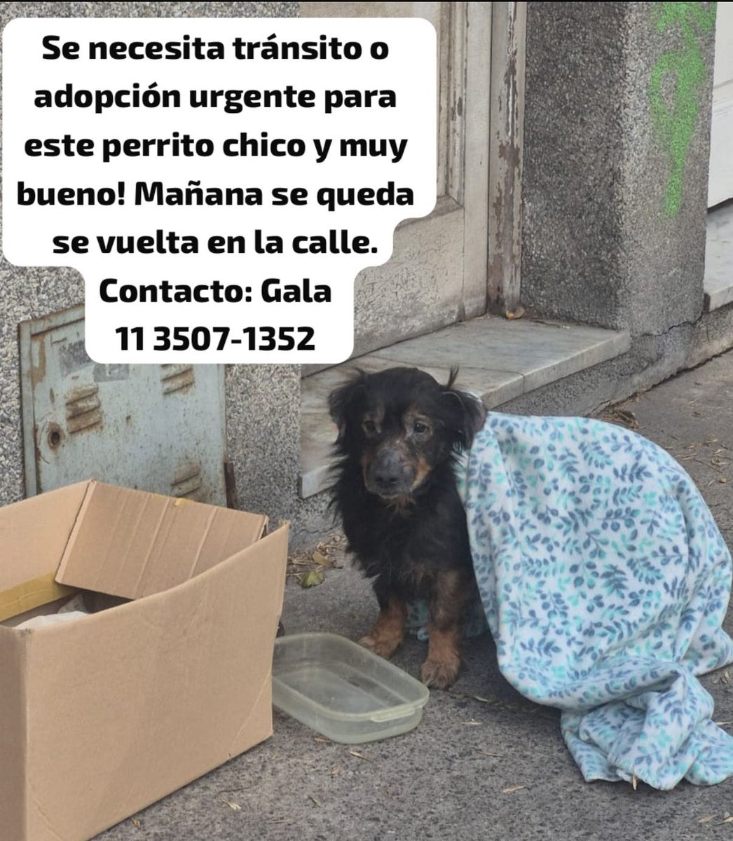 Difundimos 
Rt