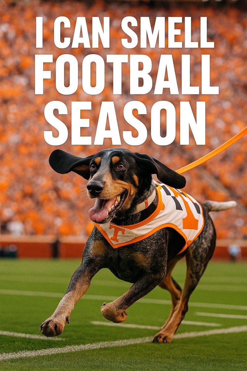 VolGirl1972's tweet photo. 🧡🏈🤍
#GBO #VFL https://t.co/ilZYHOKL7C