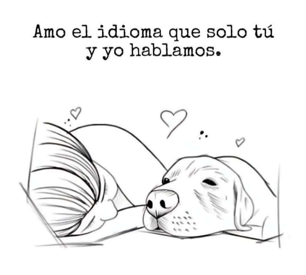 Sabueson (@sabueson) on Twitter photo 